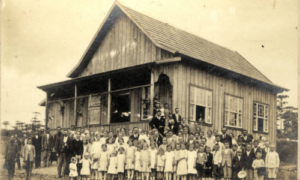 Heritage Discovery: Descubra o passado de sua família