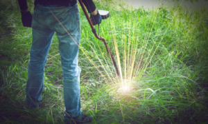 Descubra o Tesouro Oculto: Aplicativos de Detecção de Metal e Ouro