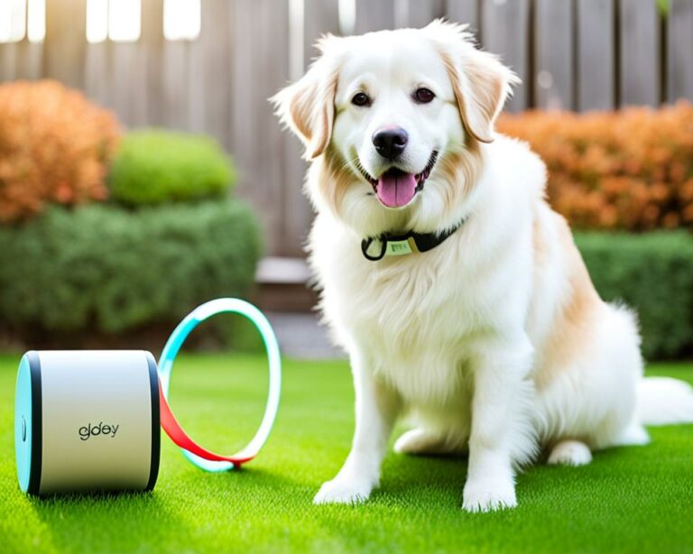 Guia Rápido: Como Escolher o Melhor Gadget Para Seu Pet