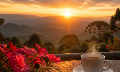 Baixe Mais de 1000 Imagens de Bom Dia Lindas para Compartilhar